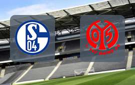 Schalke 04 - FSV Mainz