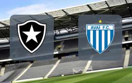 Botafogo RJ - Avai FC