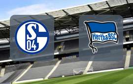 Schalke 04 - Hertha Berlin